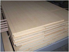   MLS-2500   , ,  (Zaffaroni, )